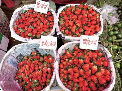 水莓100国产,探寻100国水莓种植奥秘